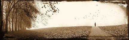 devian_art1123.JPG